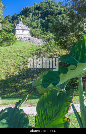 La foto è stata scattata in Palenque, Messico Foto Stock