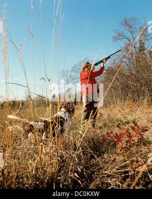 Anni Settanta uomo Cacciatore con cane PISTOLA DI RIPRESA IN CAMPO di autunno Foto Stock