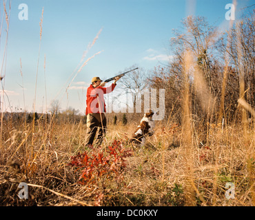 Anni Settanta uomo Cacciatore con cane PISTOLA DI RIPRESA IN CAMPO di autunno Foto Stock