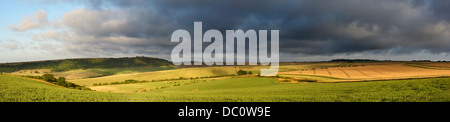 Nuvole temporalesche costruire durante il South Downs National Park in West Sussex. Foto Stock