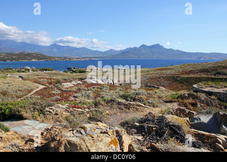 Punta di Spanu è un naturale protetto area costiera nel comune di lumio vicino a Calvi in Corsica. Foto Stock