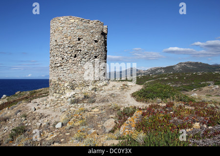 Punta di Spanu è un naturale protetto area costiera nel comune di lumio vicino a Calvi in Corsica. Foto Stock