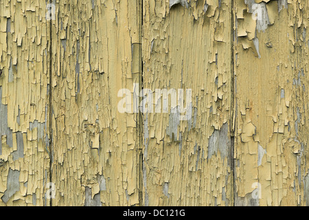 Vernice Pleeling texture detail. Foto Stock