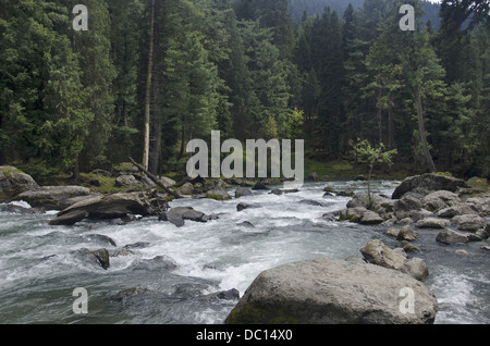 Fiume Lidder sul modo di Pahalgam, Jammu e Kashmir in India. Foto Stock