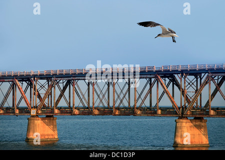 Il vecchio ponte ferroviario sulla Bahia Honda chiave in Florida keys Foto Stock