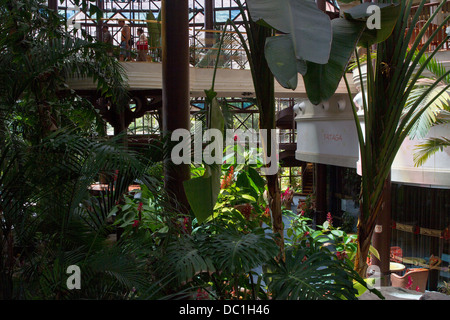 Hotel Cordial Mogán Playa Foto Stock