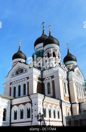 La Cattedrale Alexander Nevsky - Foto Stock