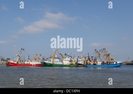 Porto di Lauwersoog con la flotta di pesca Foto Stock