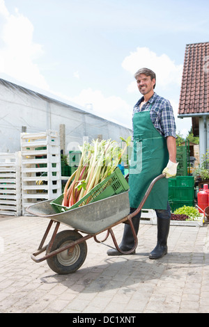 Ritratto di agricoltore biologico con carriola di fitocomplessi di rabarbaro Foto Stock