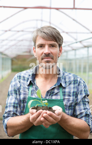 Ritratto di agricoltore biologico azienda piantina in polytunnel Foto Stock