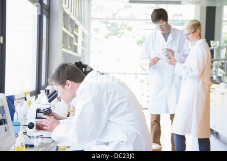 Studenti di chimica utilizzando microscopi in laboratorio Foto Stock