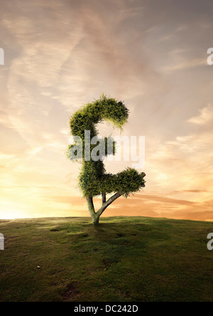 Topiaria da finanziaria ad albero simbolo cancelletto Foto Stock