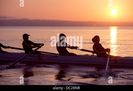 Quattro persone remare al tramonto Foto Stock