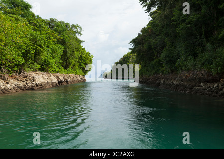 Le isole della roccia di Palau Micronesia (Patrimonio Mondiale dell'UNESCO). Foto Stock