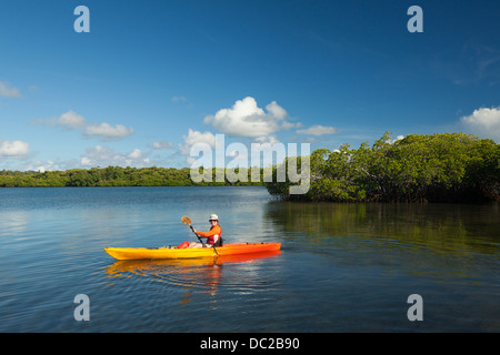 Donna kayak attraverso le mangrovie protette aree in Yap, Micronesia. (MR) Foto Stock