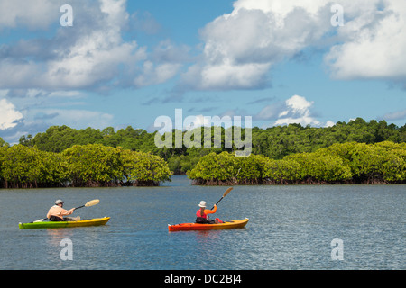 L uomo e la donna in kayak attraverso le mangrovie protette aree in Yap, Micronesia. (MR) Foto Stock