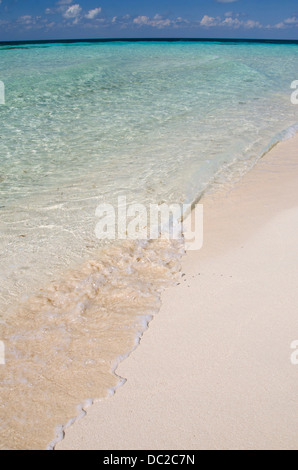 Belize, Mar dei Caraibi. Goff Caye, una piccola isola a Riva del Belize City. Spiaggia di sabbia Vista di Goff Caye. UNESCO Foto Stock