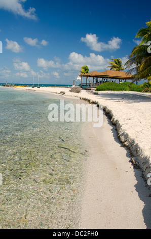 Belize, il Mare dei Caraibi, Goff Caye. Una piccola isola a Riva del Belize City, il Belize lungo la barriera corallina. UNESCO. Foto Stock
