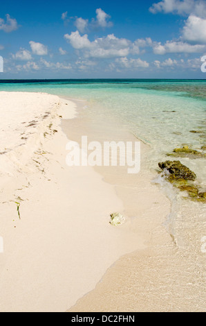 Belize, Mar dei Caraibi. Goff Caye, una piccola isola a Riva del Belize City. Spiaggia di sabbia Vista di Goff Caye. UNESCO. Foto Stock