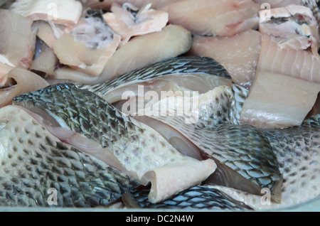 Pezzi di striped snakehead pesci pronti per la cottura Foto Stock