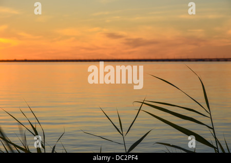 Colori soft al tramonto dal Mar Baltico in Svezia Foto Stock