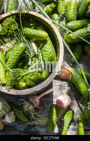 Preparazione di basso-sale di cetrioli sottaceto Foto Stock