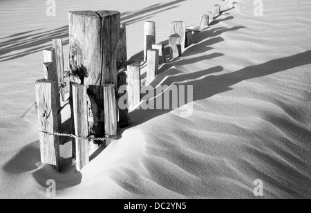 Recinzione in legno in dune di sabbia con forti ombre dalla luce solare Foto Stock