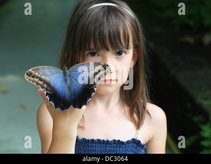 Ritratto di una giovane ragazza con un enorme di farfalle tropicali (Morpho peleides) si appollaia sulla sua mano. Butterfly House,lipsia,Germania. Foto Stock