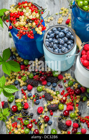 La raccolta di freschi frutti di bosco Foto Stock