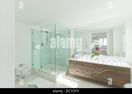 Bagno moderno Foto Stock