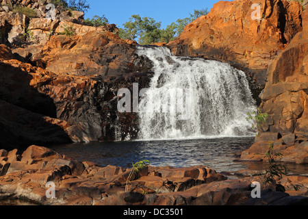 Cascata e una piscina con acqua chiara, il Parco Nazionale Kakadu, Territorio del Nord, l'Australia Foto Stock