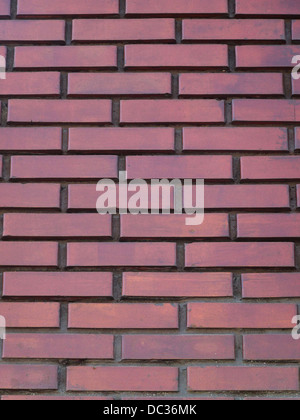 Tessuto parete Foto Stock