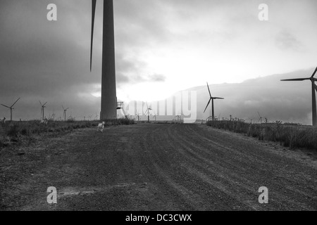 Le turbine eoliche stagliano contro un buio presto la sera Cielo. in bianco e nero. Foto Stock