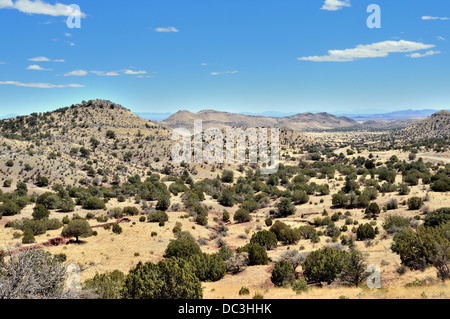 La prateria a Jeff Davis County, Texas, Stati Uniti d'America Foto Stock