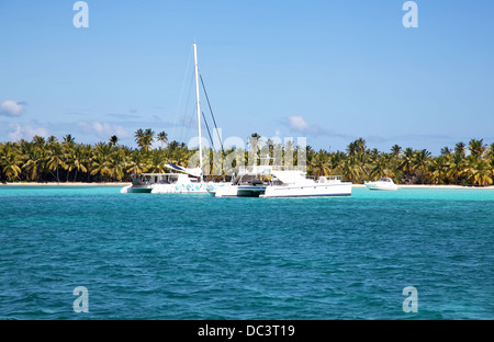 Spiaggia tropicale con palme e oceano e navi Foto Stock