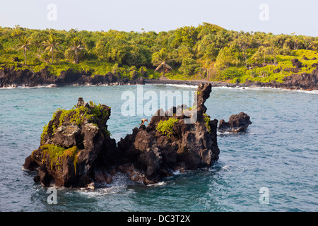 A est di Maui roccia lavica costa, Hawaii con un uomo arrampicata sulle rocce dure a saltare nell'acqua. Foto Stock