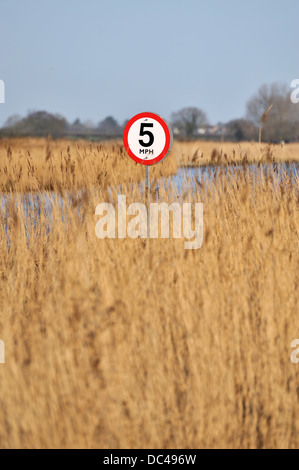 Il limite massimo di velocità di 5 mph, Norfolk Broads, REGNO UNITO Foto Stock