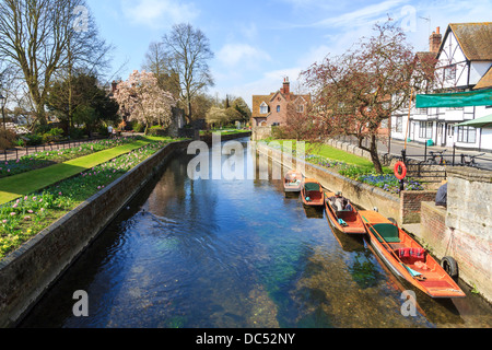 Riverside scenario sul fiume Stour in Canterbury Kent England Regno Unito Foto Stock