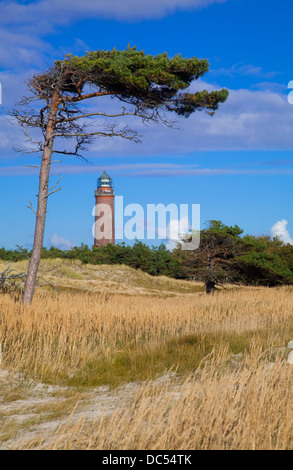 Europa, Deutschland, Meclenburgo-Pomerania,Fischland-Darss-Zingst,Prerow Lighthouse Darsser Ort Foto Stock