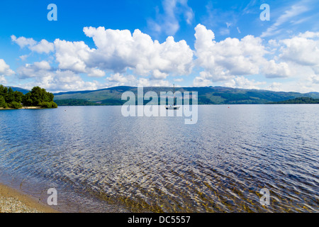 Estate sulle rive di Loch Lomond e il Trossachs Parco Nazionale di Scozia UK Foto Stock