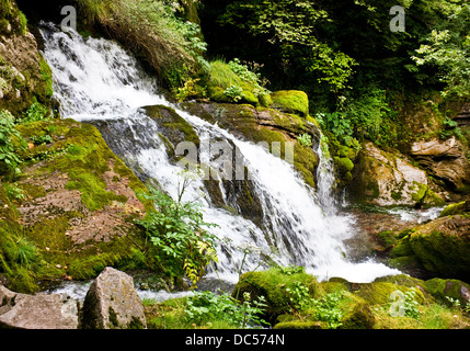 Una piccola cascata presso la sorgente del fiume Llobregat, a Castellar de n'Hug (Catalogna, Spagna) Foto Stock