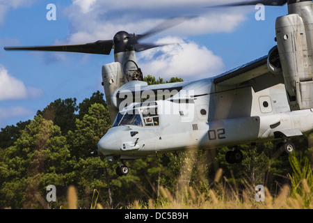 Un US Marine Corp MV-22 Osprey aeromobile atterra in un campo durante un incidente di massa esercitazione di evacuazione Agosto 7, 2013 al Marine Corps base Camp Lejeune, North Carolina. Foto Stock