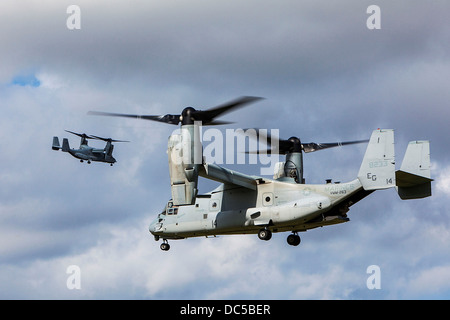 US Marine Corp MV-22 Osprey preparare degli aeromobili a terra in un campo durante un incidente di massa esercitazione di evacuazione Agosto 7, 2013 al Marine Corps base Camp Lejeune, North Carolina. Foto Stock