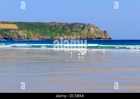 Spiaggia Pendower sulla penisola di Roseland Cornwall Inghilterra REGNO UNITO Foto Stock