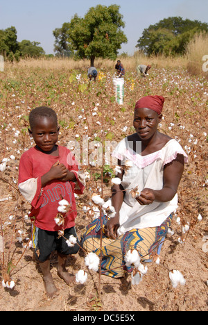 Il Burkina Faso, il commercio equo e solidale e di cotone organico progetto, agricoltore della cooperativa UNPCB in villaggio Kayao Foto Stock