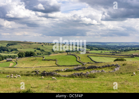 Pareti in pietra calcarea e una antica strada drovers vicino Malham North Yorkshire. Foto Stock