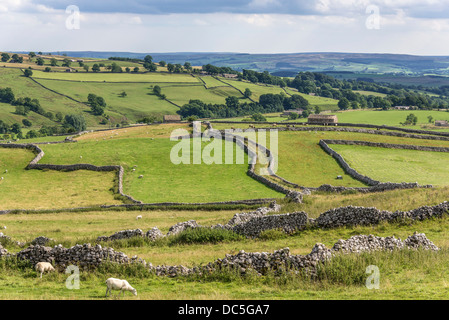 Pareti in pietra calcarea e una antica strada drovers vicino Malham North Yorkshire. Foto Stock