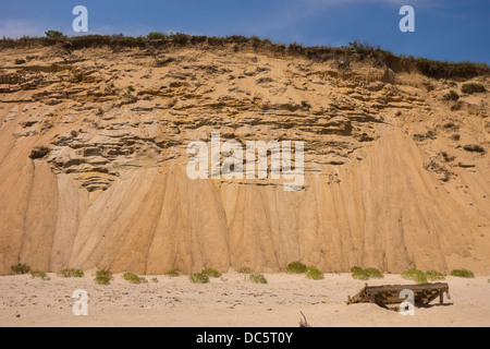 CAPE COD, Massachusetts, STATI UNITI D'AMERICA - dune di sabbia a cresta bianca spiaggia vicino alla città di Wellfleet. Foto Stock