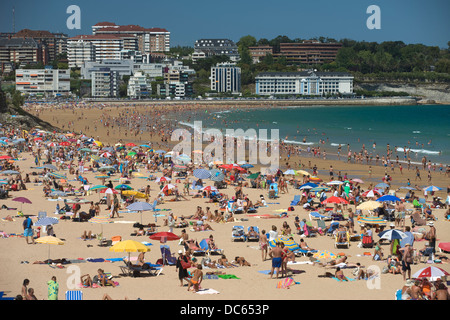 Lucertole da mare spiaggia Sardinero SANTANDER Cantabria Spagna Foto Stock