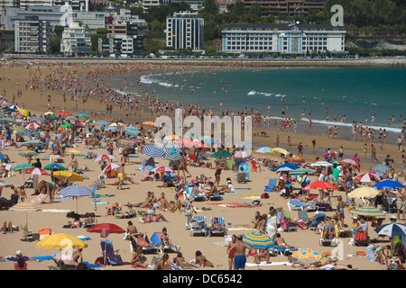 Lucertole da mare spiaggia Sardinero SANTANDER Cantabria Spagna Foto Stock